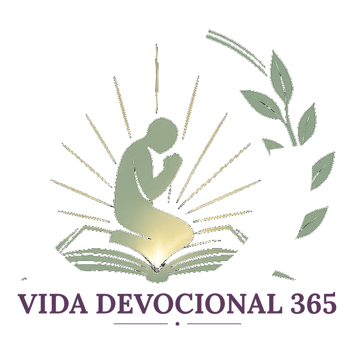 Vida Devocional 365