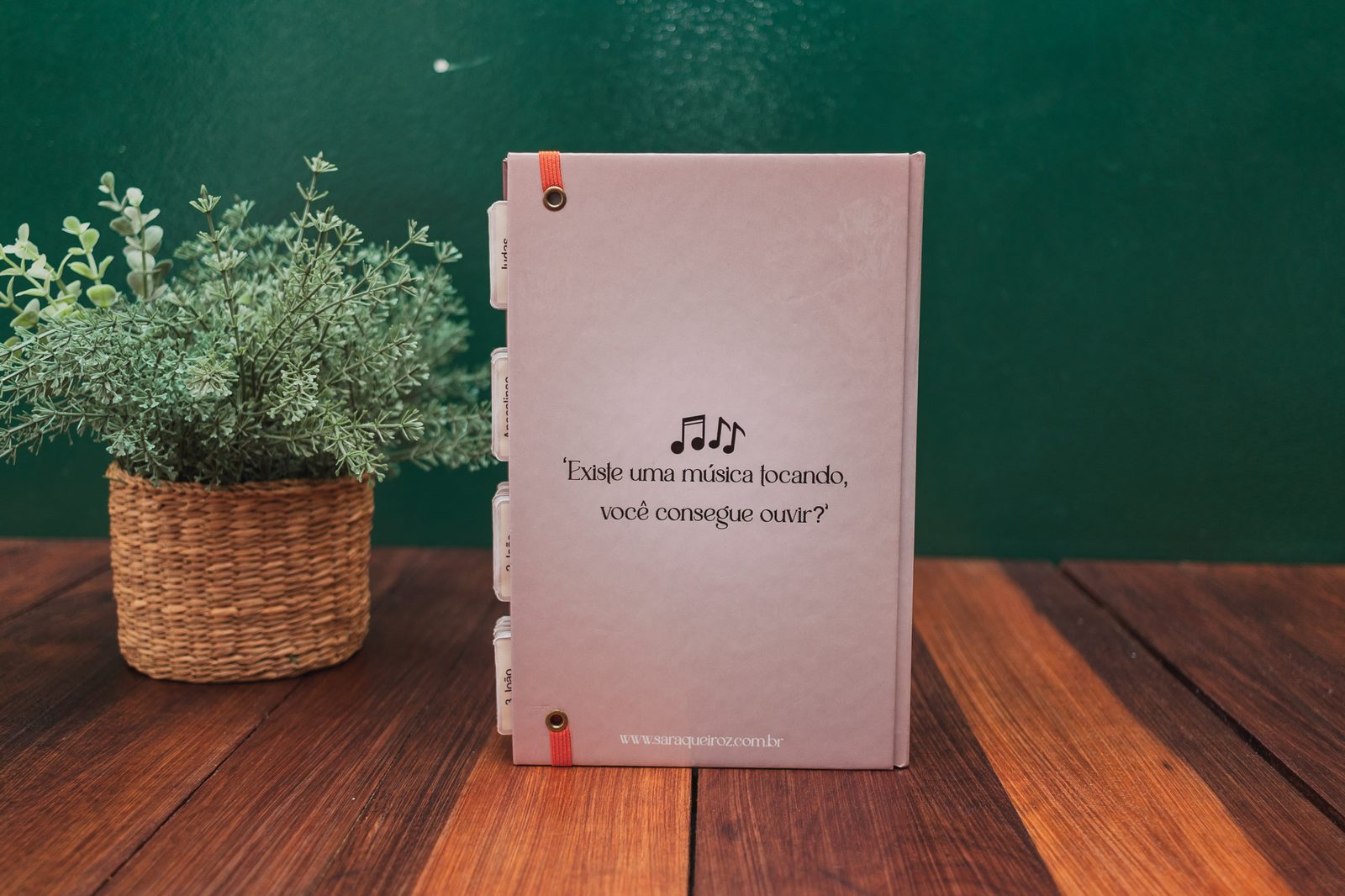 Bíblia Sagrada devocional Você é a Música — contracapa