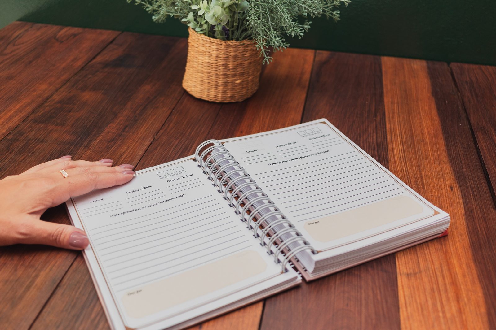 Caderno devocional Você é a Música — páginas internas